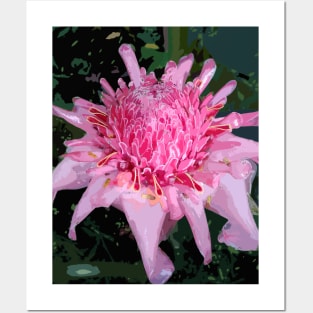 Pink Torch Ginger Posters and Art